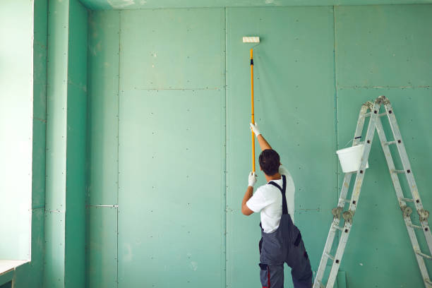 Best Mold Odor Removal Services  in Walker Mill, MD
