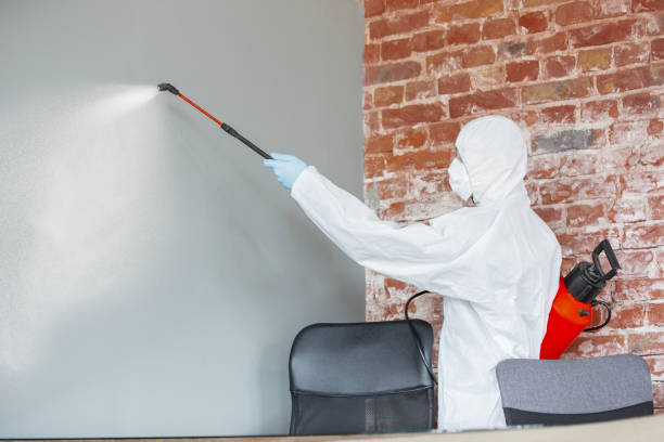 Best Commercial Mold Inspection  in Walker Mill, MD