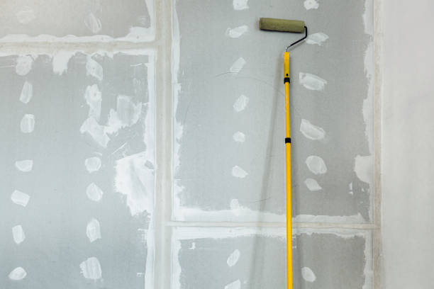 Forensic Mold Investigation in Walker Mill, MD