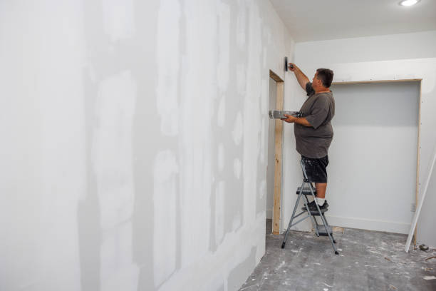Mold Odor Removal Services in Walker Mill, MD
