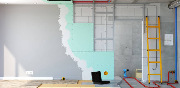Best Basement Mold Removal  in Walker Mill, MD
