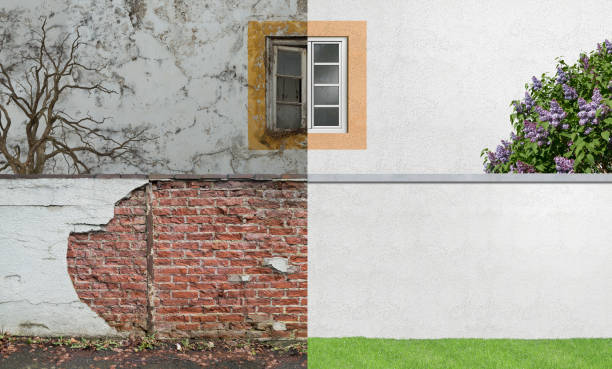 Best Residential Mold Inspection & Testing  in Walker Mill, MD