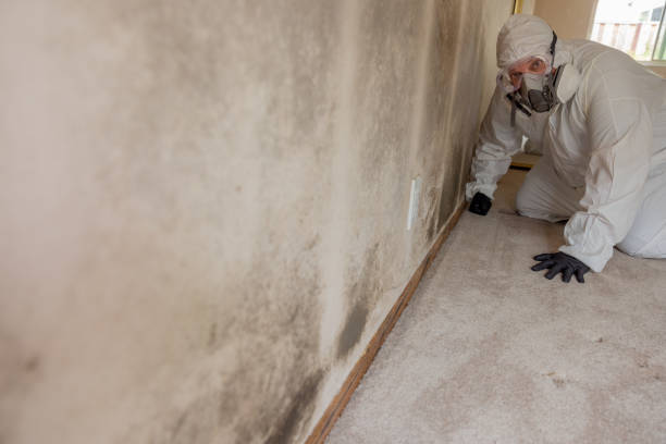 Best Forensic Mold Investigation  in Walker Mill, MD