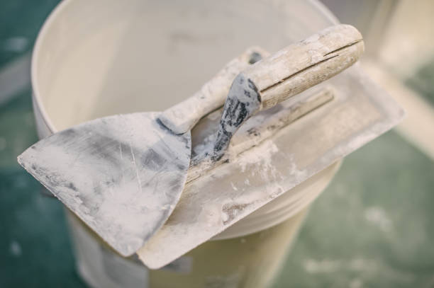 Best Forensic Mold Investigation  in Walker Mill, MD