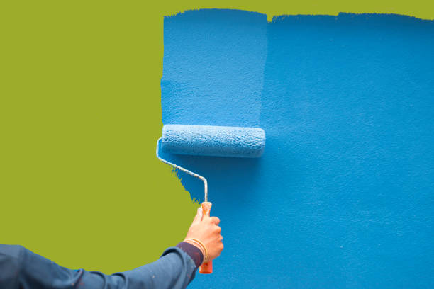 Best Emergency Mold Remediation  in Walker Mill, MD