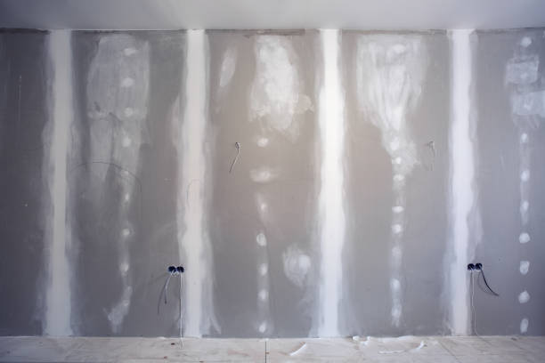 Best Attic Mold Removal  in Walker Mill, MD